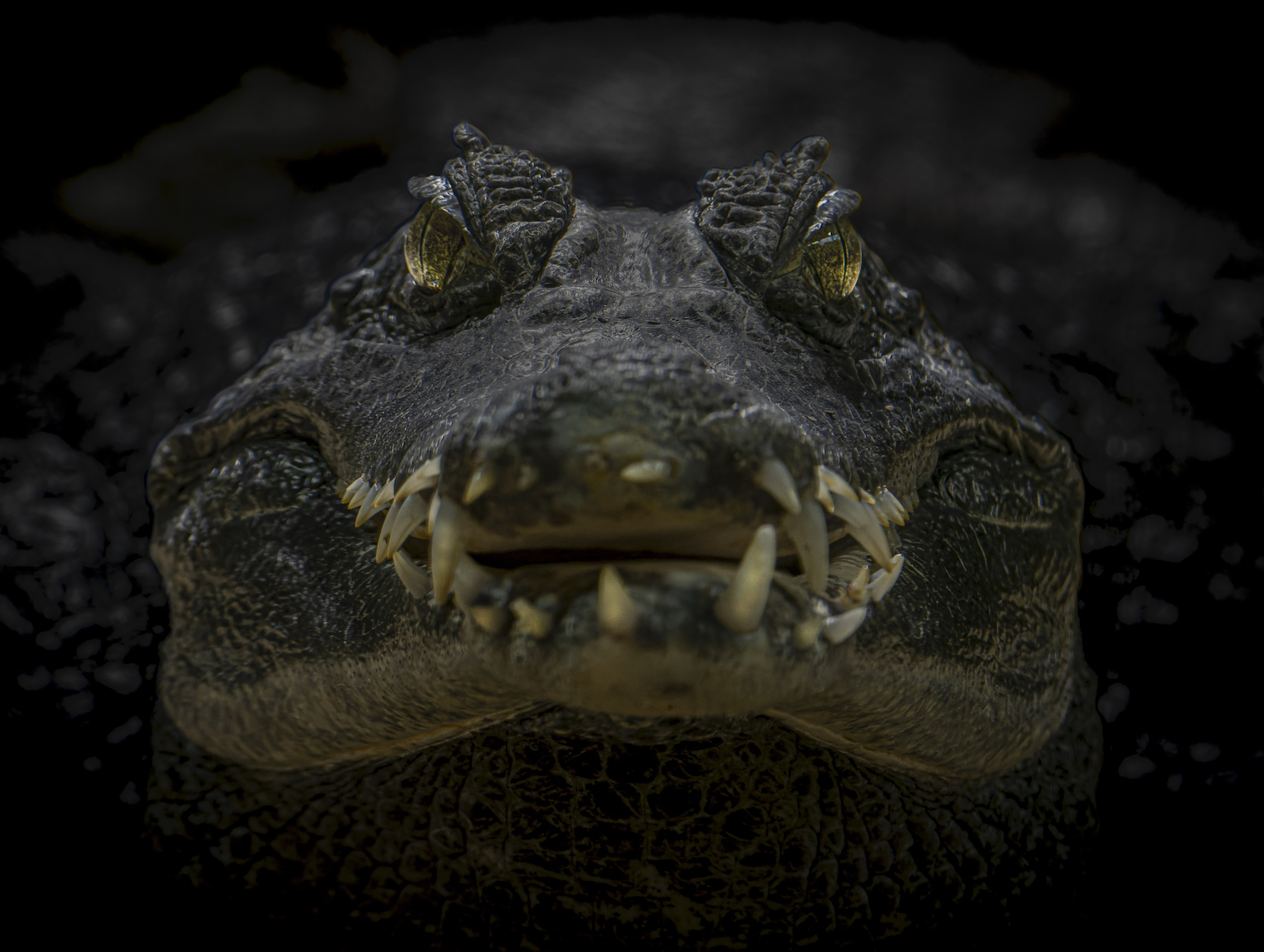 << KLICK FÜR MEHR >>