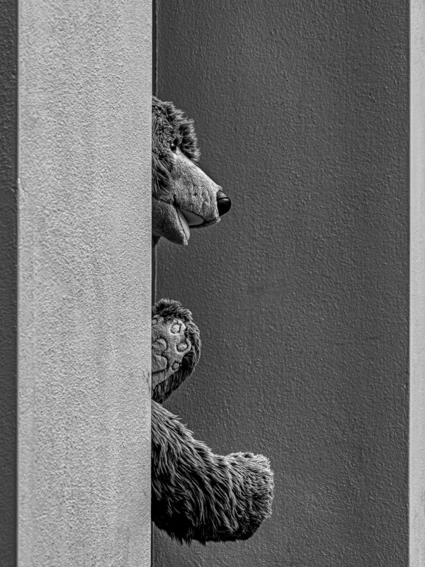 "Bear" - Geschenkkarte - 18x13cm  (1)