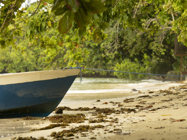 "Tropical Beach" - Geschenkkarte - 18x13cm