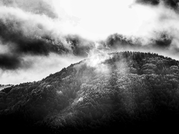 "Cloudy Forest" - Fujifilm Silk Papier - 60x45mm (1)