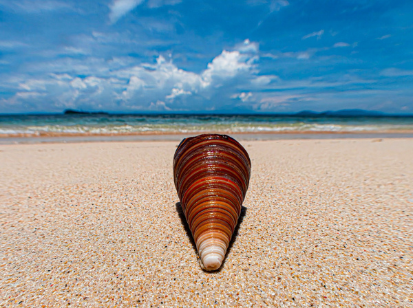 "Cone" - Leinwand - 60x45cm